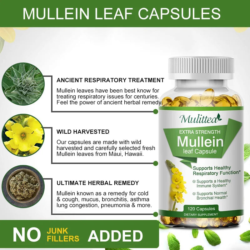 Mulittea Natural Mullein Leaf Capsules Herbal Supplement for Lung Cleanse Helps Healthy Respiratory Function & Mucous Membranes