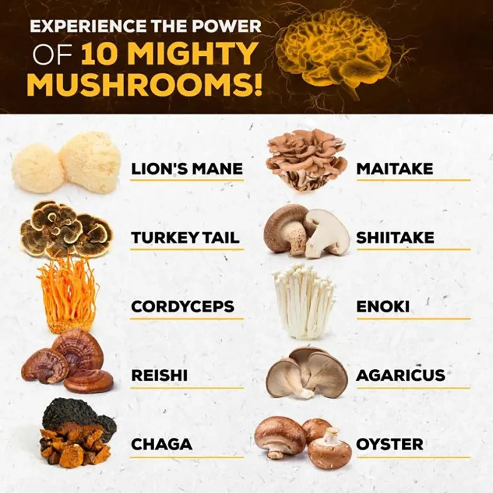 Mushroom Supplement 10x Complex - Lion's Mane, Turkey Tail, Cordyceps, Reishi - Memory & Focus, Brain Support Supplement